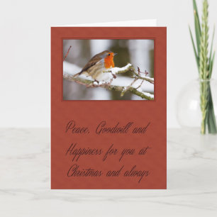 Christmas Robin Holiday Card