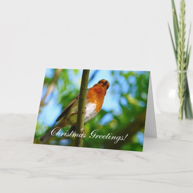CHRISTMAS ROBIN HOLIDAY CARD (Front)
