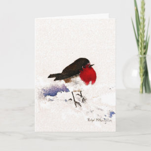 Christmas Robin Holiday Card