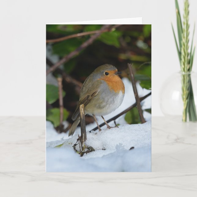 Christmas Robin in the snow Card (Front)