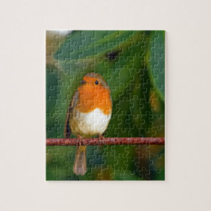 Christmas Robin Jigsaw Puzzle