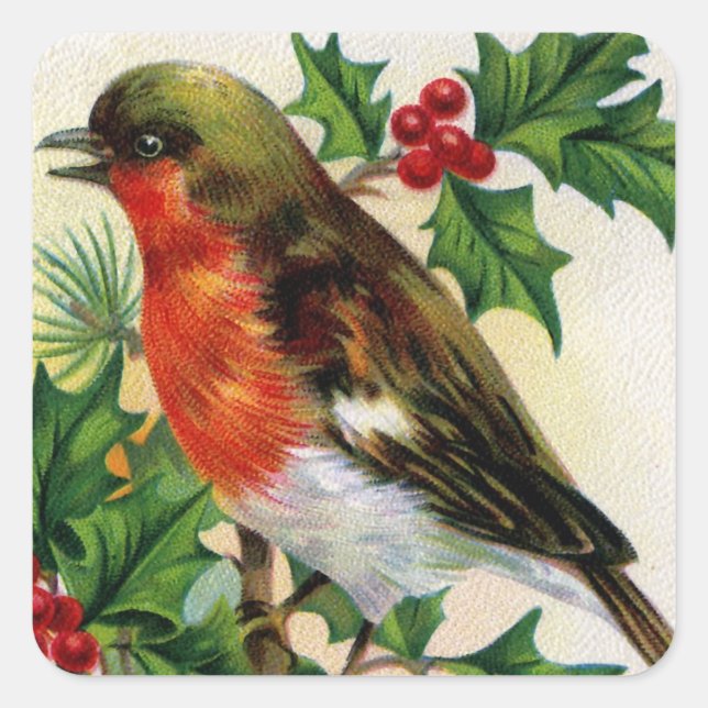 Christmas Robin Vintage Illustration Square Sticker (Front)
