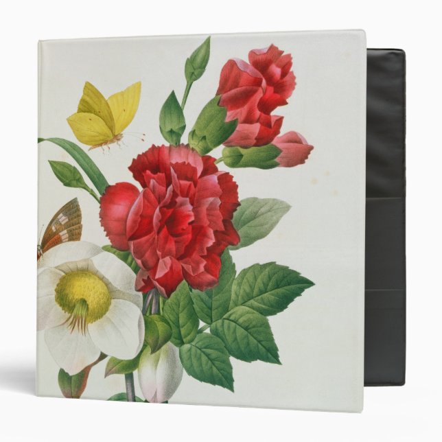 Christmas Rose, Helleborus niger Binder (Front/Inside)
