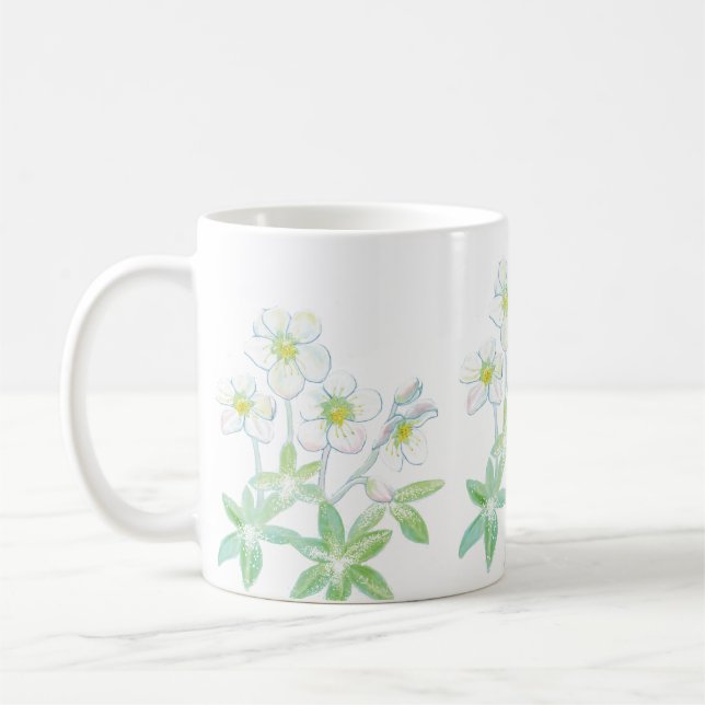 Christmas rose, Helleborus niger  Coffee Mug (Left)