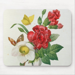 Christmas Rose, Helleborus niger Mouse Pad