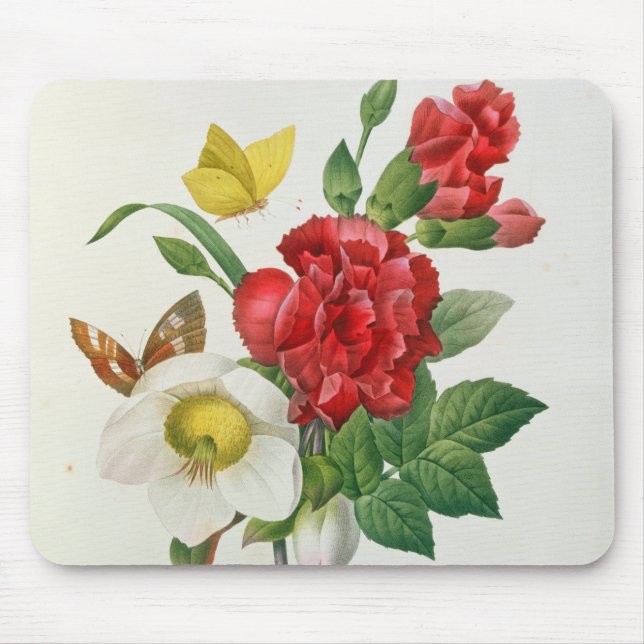 Christmas Rose, Helleborus niger Mouse Pad (Front)