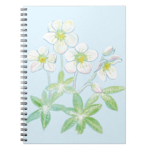 Christmas rose, Helleborus niger   Notebook