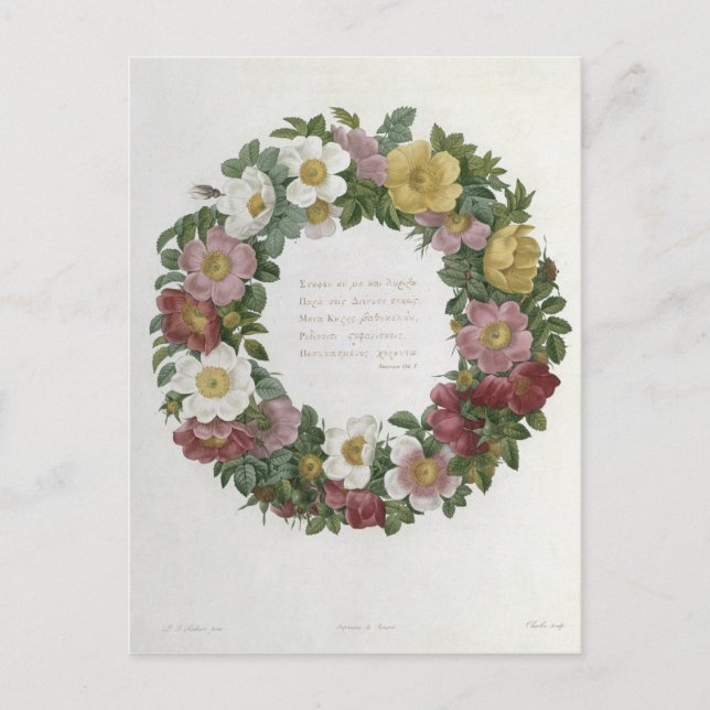 Christmas Roses Holiday Postcard (Front)
