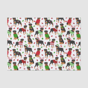 Christmas Rottweiler Tissue Paper