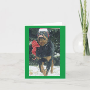 christmas rottweiler w/ santa hat scarf in snow card