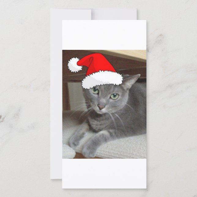 Christmas Russian Blue Grey Cat Holiday Card (Front)