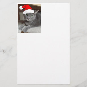 Christmas Russian Blue Grey Cat Stationery