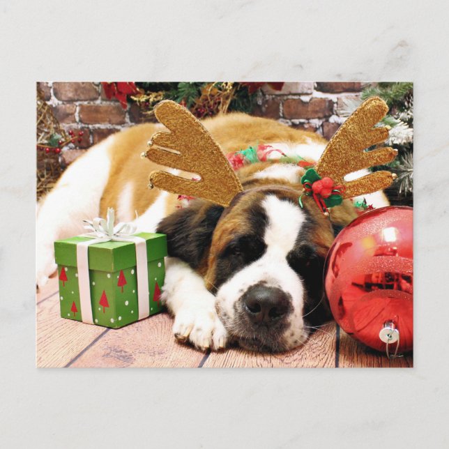 Christmas - Saint Bernard - Blue Holiday Postcard (Front)