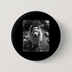 Christmas Samoyed Caught On Camera  2 Inch Round Button