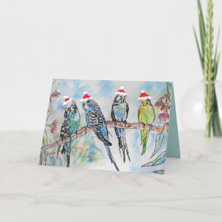 Christmas Santa Budgies Budgerigar Bird Card