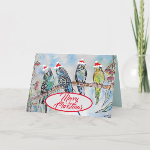 Christmas Santa Budgies Budgie Funny Bird Card