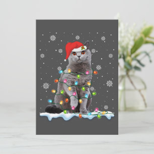 Christmas Santa Cat British Shorthair Cat Lover Holiday Card