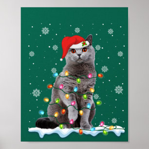 Christmas Santa Cat British Shorthair Cat Lover Poster