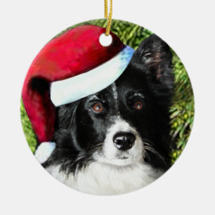 Christmas Santa Hat Border Collie Ornament