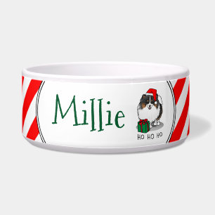 Christmas Santa Hat Pomeranian (tri-colour) Cute