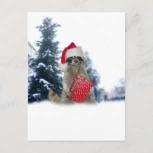 Christmas Santa Raccoon Bandit Holiday Postcard