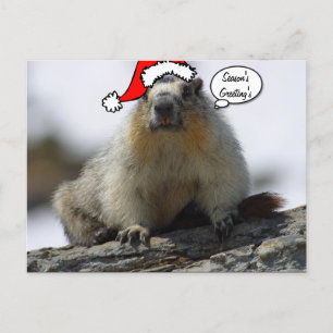 Christmas Santa Squirrel postcard