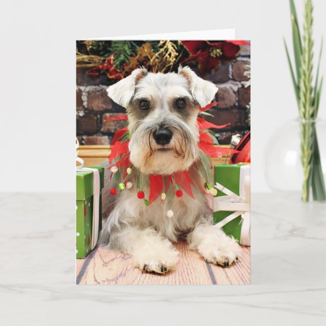 Christmas - Schnauzer - Abby Holiday Card (Front)