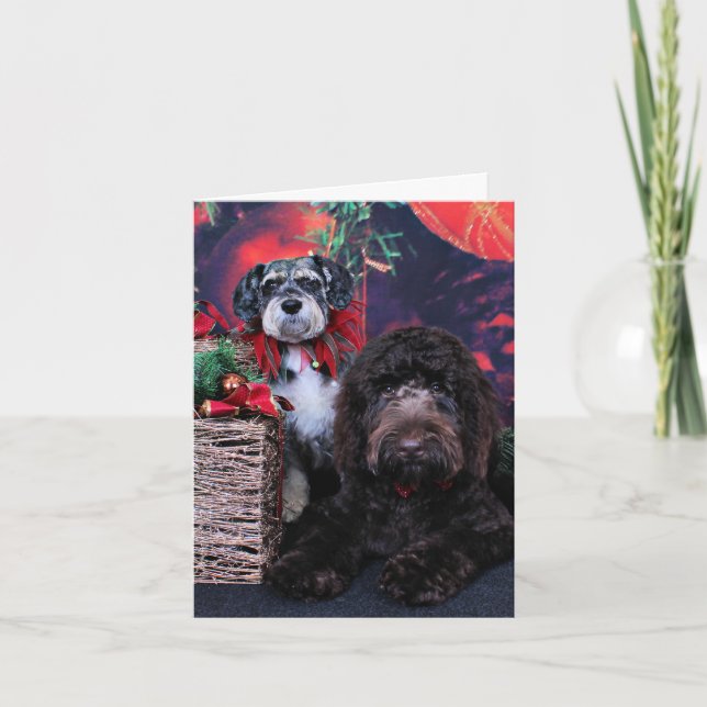 Christmas - Schnauzer Apache - Bowen LabraDoodle Holiday Card (Front)