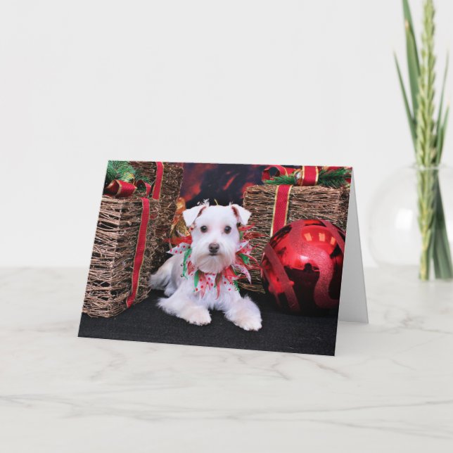Christmas - Schnauzer - Emma Holiday Card (Front)