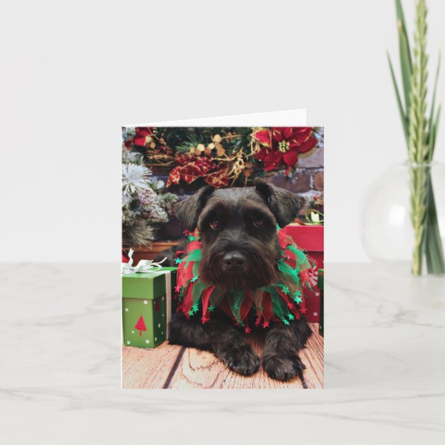 Christmas - Schnauzer Mix - Bentley Holiday Card (Front)