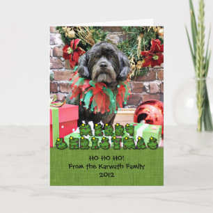 Christmas - Schnoodle - Rookie Holiday Card