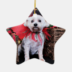 Christmas - Schnoodle - Zoey Ceramic Ornament