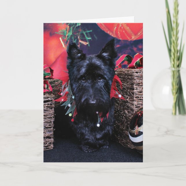 Christmas - Scottie - Paisley Holiday Card (Front)