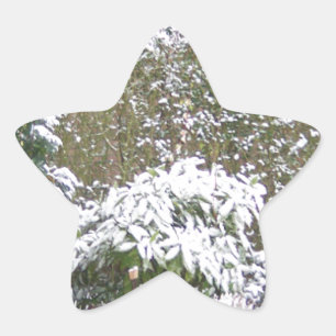 Christmas Season, Snow in the garden Star Sticker