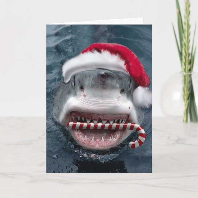 Christmas Shark Card (Front)