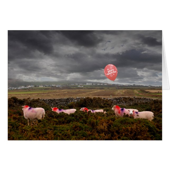 Christmas sheep (Front Horizontal)