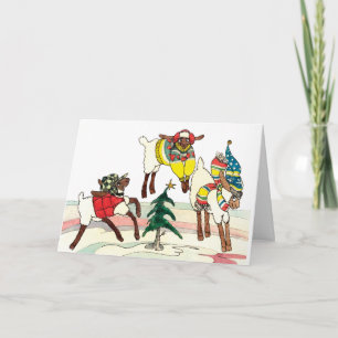 Christmas Sheep Holiday Card