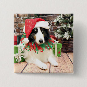 Christmas - Sheltie - Bandit 2 Inch Square Button