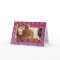 Christmas - Shiba Inu Photocard