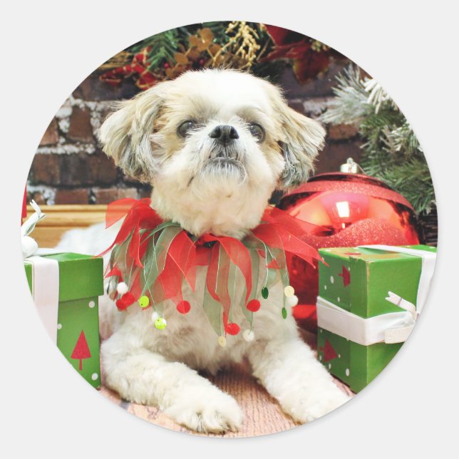 Christmas - Shih Tzu - Bailey Classic Round Sticker (Front)