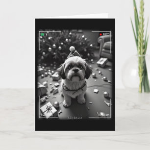 Christmas Shih Tzu Caught On Camera Card