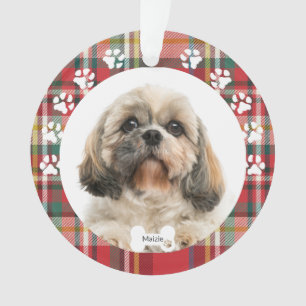 Christmas Shih Tzu Chien Animaux de Compagnie Phot