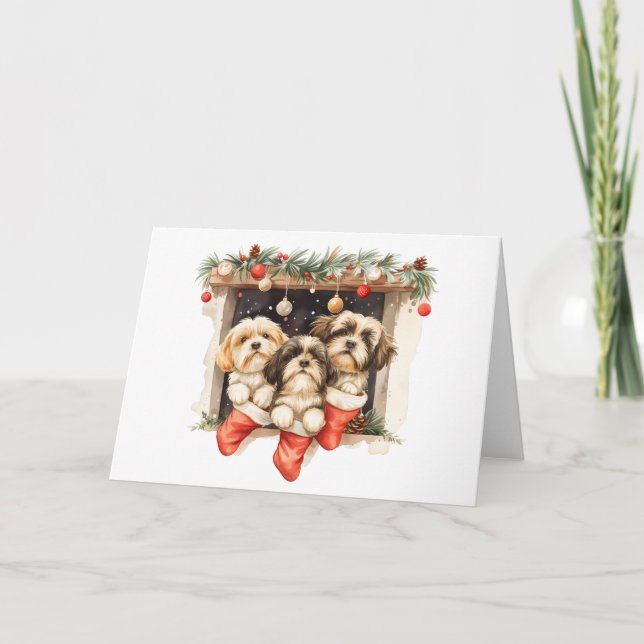 Christmas Shih Tzu Dogs Holiday Card (Front)