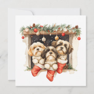 Christmas Shih Tzu Dogs Holiday Card