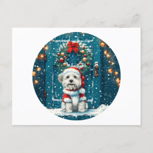 Christmas Shih Tzu Dogs Holiday Postcard