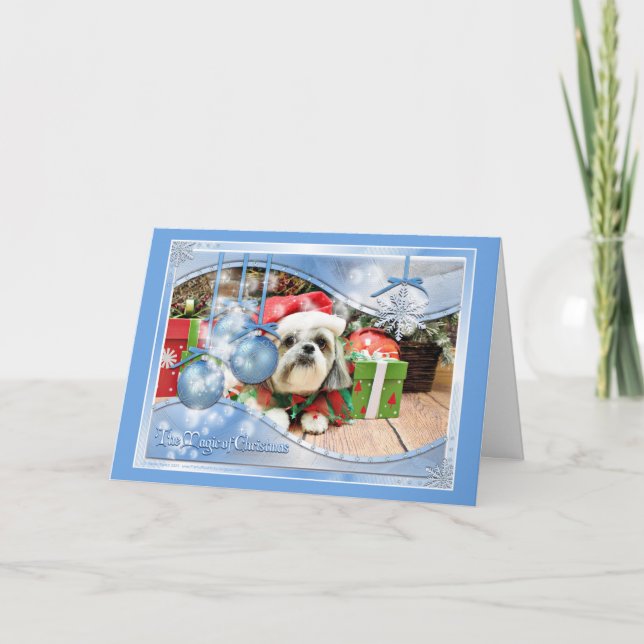Christmas - Shih Tzu - Gizmo Holiday Card (Front)