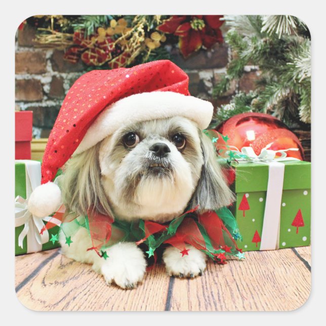 Christmas - Shih Tzu - Gizmo Square Sticker (Front)