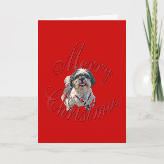 Christmas Shih Tzu Holiday Card