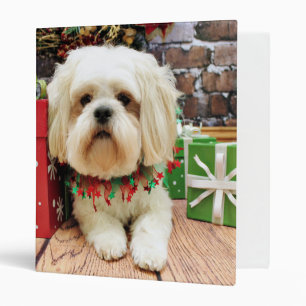Christmas - Shih Tzu X - Walter Binder
