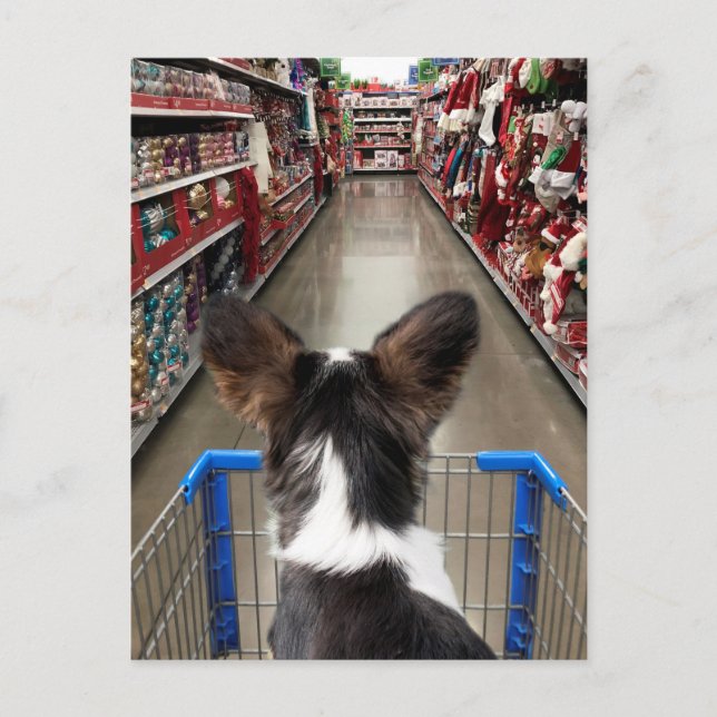 Christmas Shopping Chihuahua Postcard (Front)